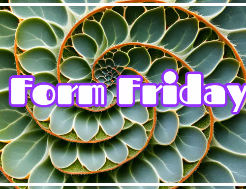 Form Friday and other fun