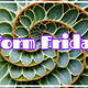 Form Friday and other fun