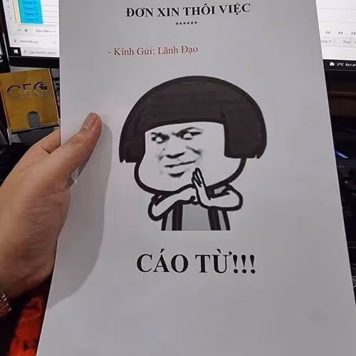 cáo từ