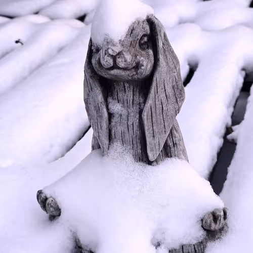 If it's Winter