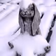 If it's Winter