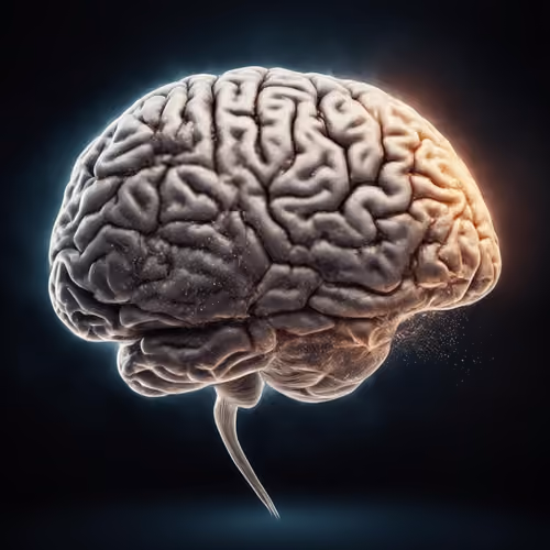 Mind is me