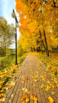 "Autumn’s Embrace"