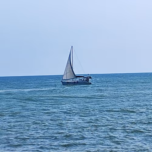 Zora Posts