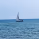 Zora Posts