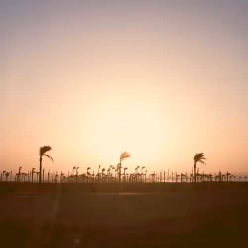 Favorites Ob Electoral