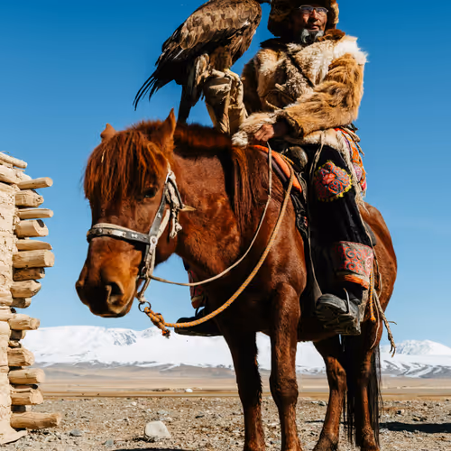 mongol mongol
