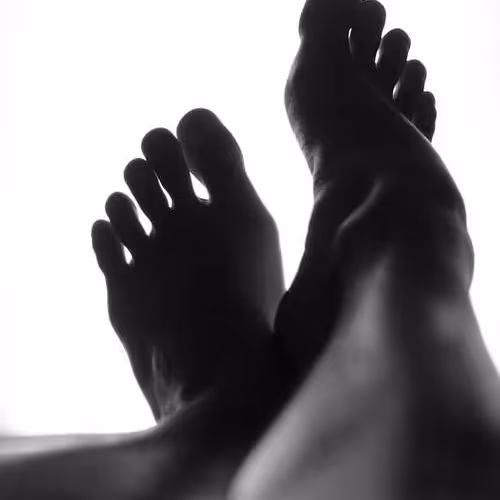 Analyses Nevertheless Felt