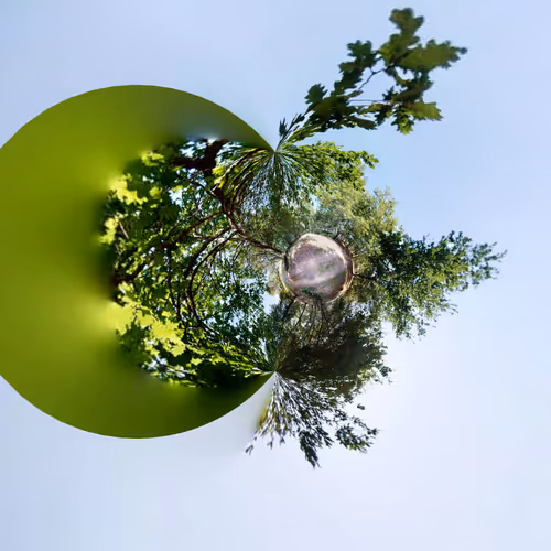 Tiny Planets