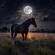 Horses