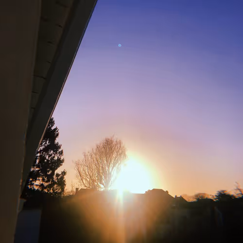morning