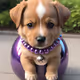 Zora x Puppy