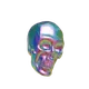 Skeleton