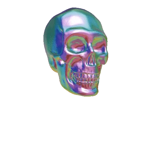 Skeleton