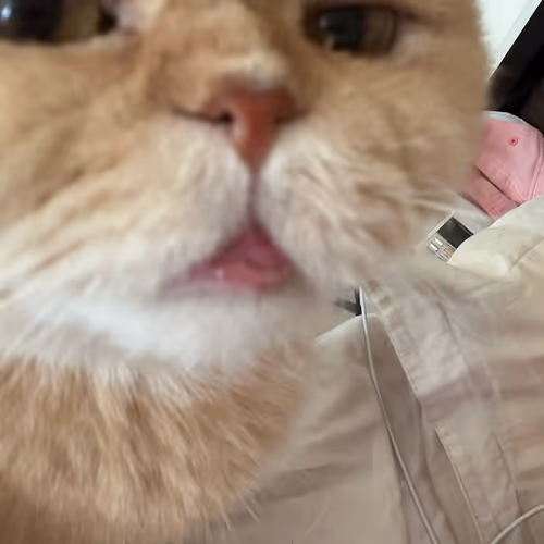Sniffin' somthin' that ain't 'aight