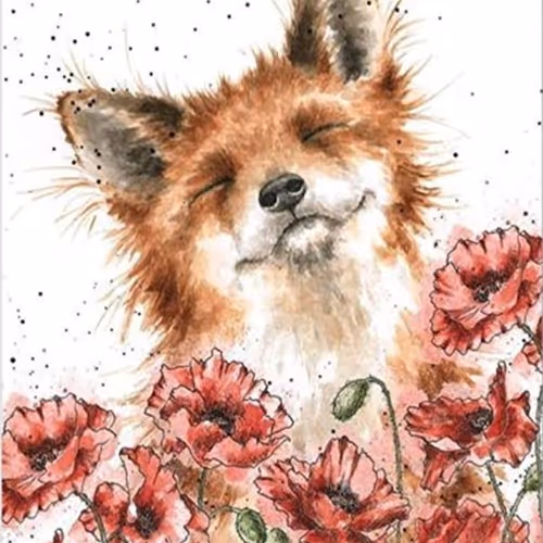 FOX