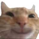 meooow