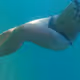 Girl in the sea