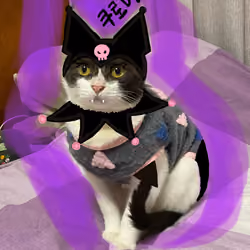 Kuromi