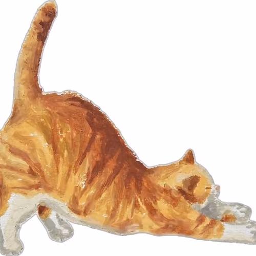 catty