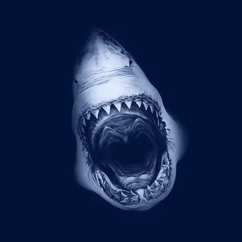 Shark 1