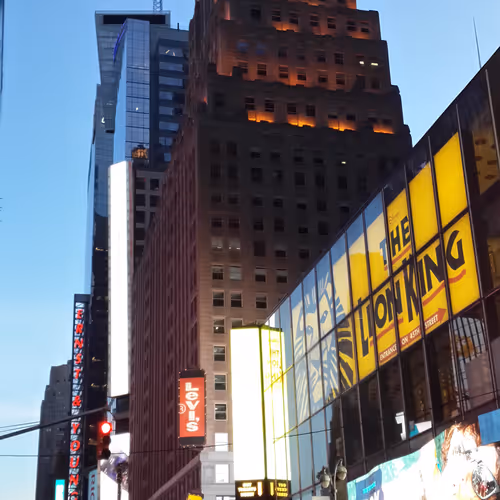 NY19