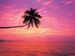 images (1)