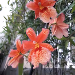20170304_165058