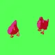 quack-thermoreg