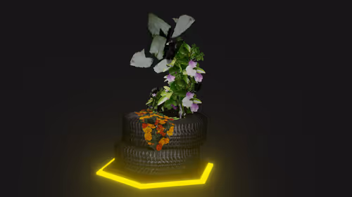 Item #5 Media
