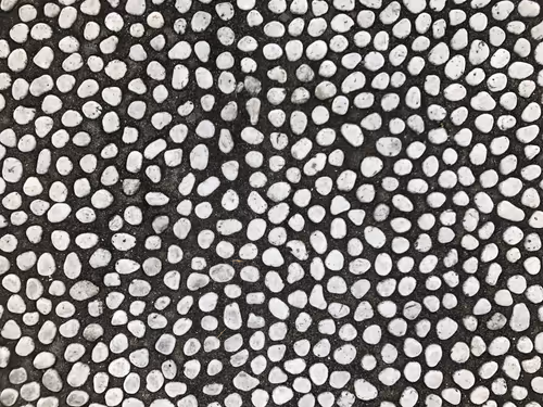 Item #24 Media