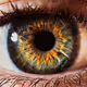 Human Gaze