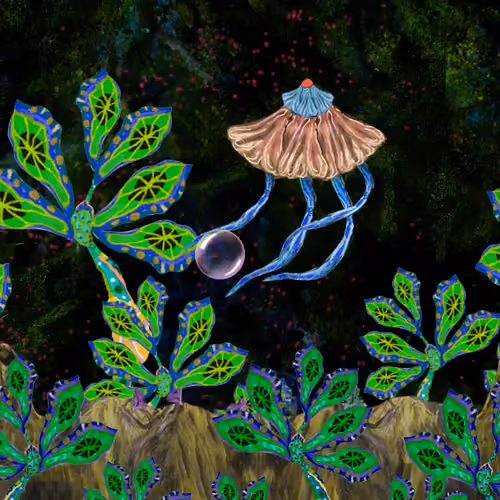 ACQUARIUM 245 -  The Swamp Jellyfish