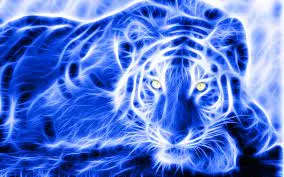Tiger #5