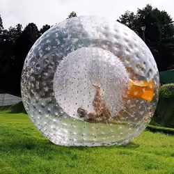 Zorb