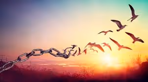 Freedom