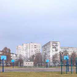 yard