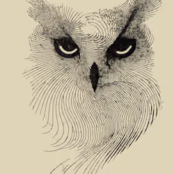 Owl: Teraki Token