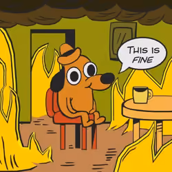 this is fine