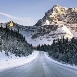 frozen road