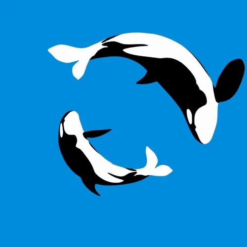 Orca loop