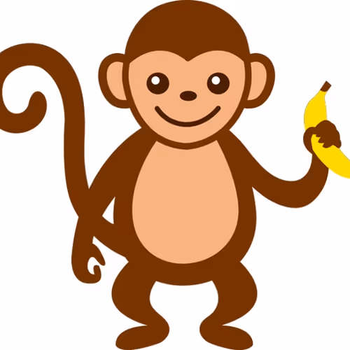 Monkey ZORA #1