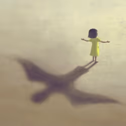 fly