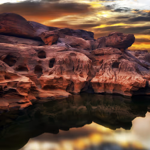 Tyler 3286 1