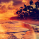 Solite