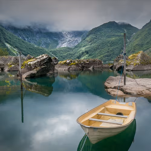Amy 8164 1