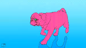 zewer qut 3