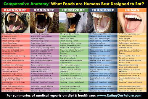 Item #4 Media