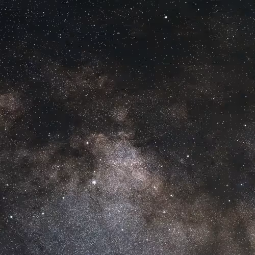 Stars
