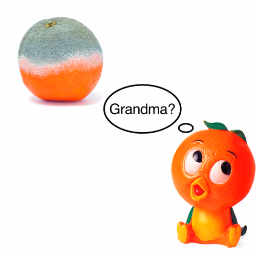 Item #3 Media
